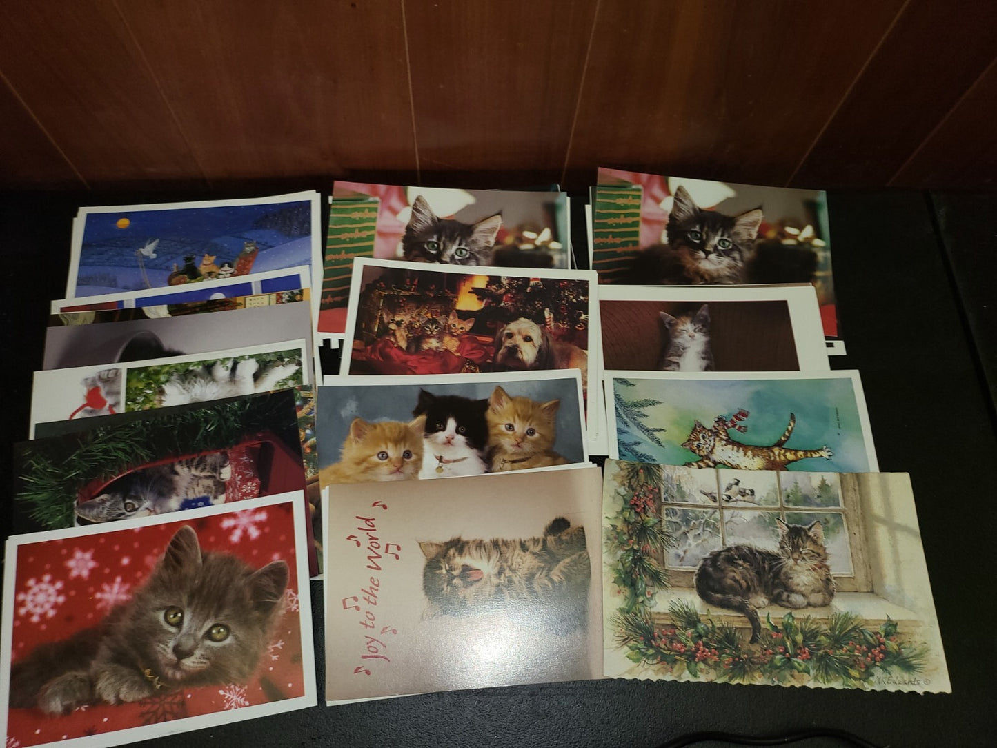 80 Cat Photos Greeting Card order forms Heavy Paper 7.25 x 5" ea Cute & Useful