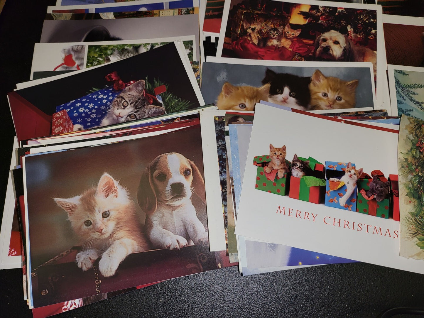 80 Cat Photos Greeting Card order forms Heavy Paper 7.25 x 5" ea Cute & Useful