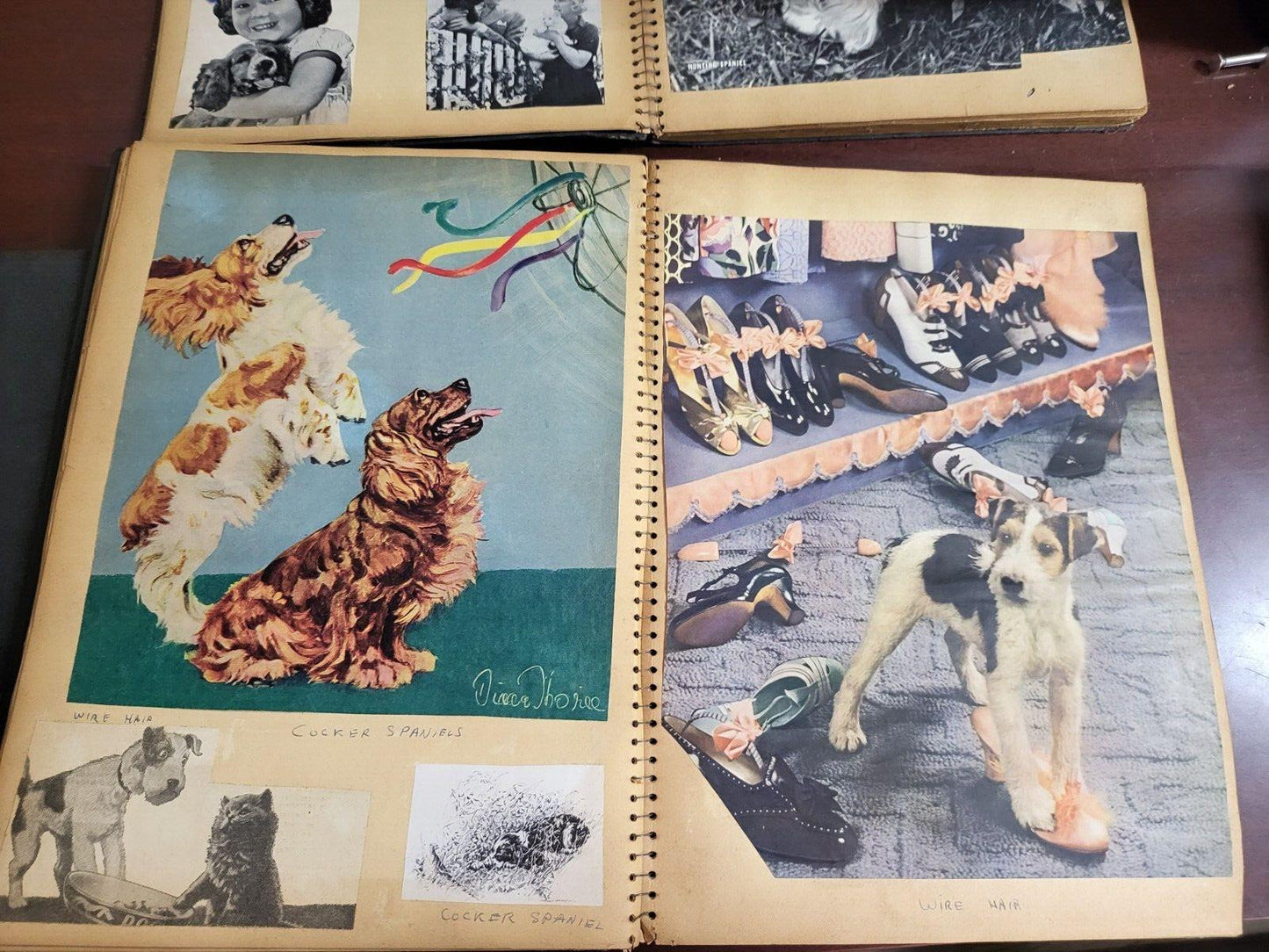 3 Vintage Scrapbooks 1937-38 Dogs Pics & Famous Celebrity #2808