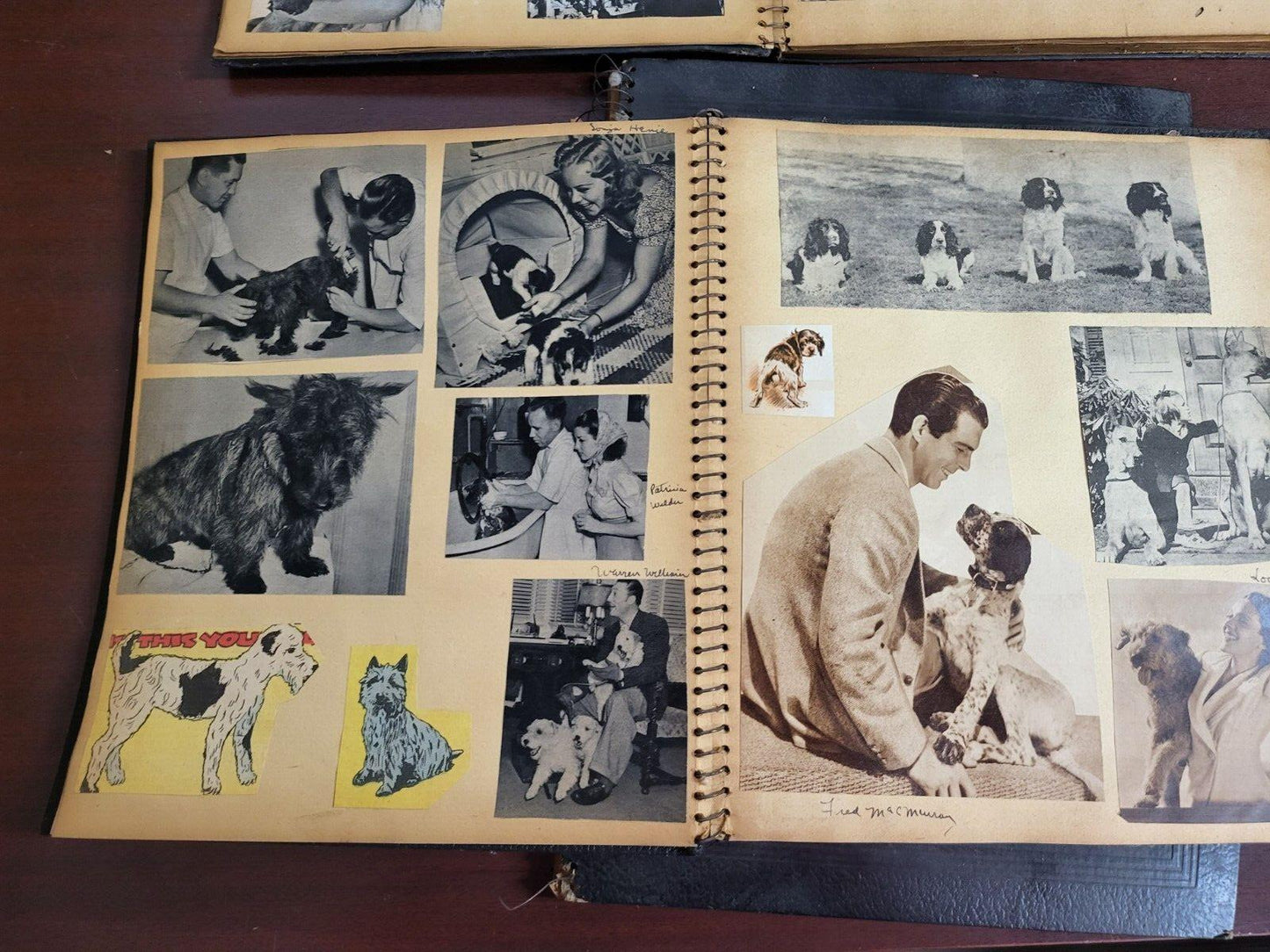 3 Vintage Scrapbooks 1937-38 Dogs Pics & Famous Celebrity #2808