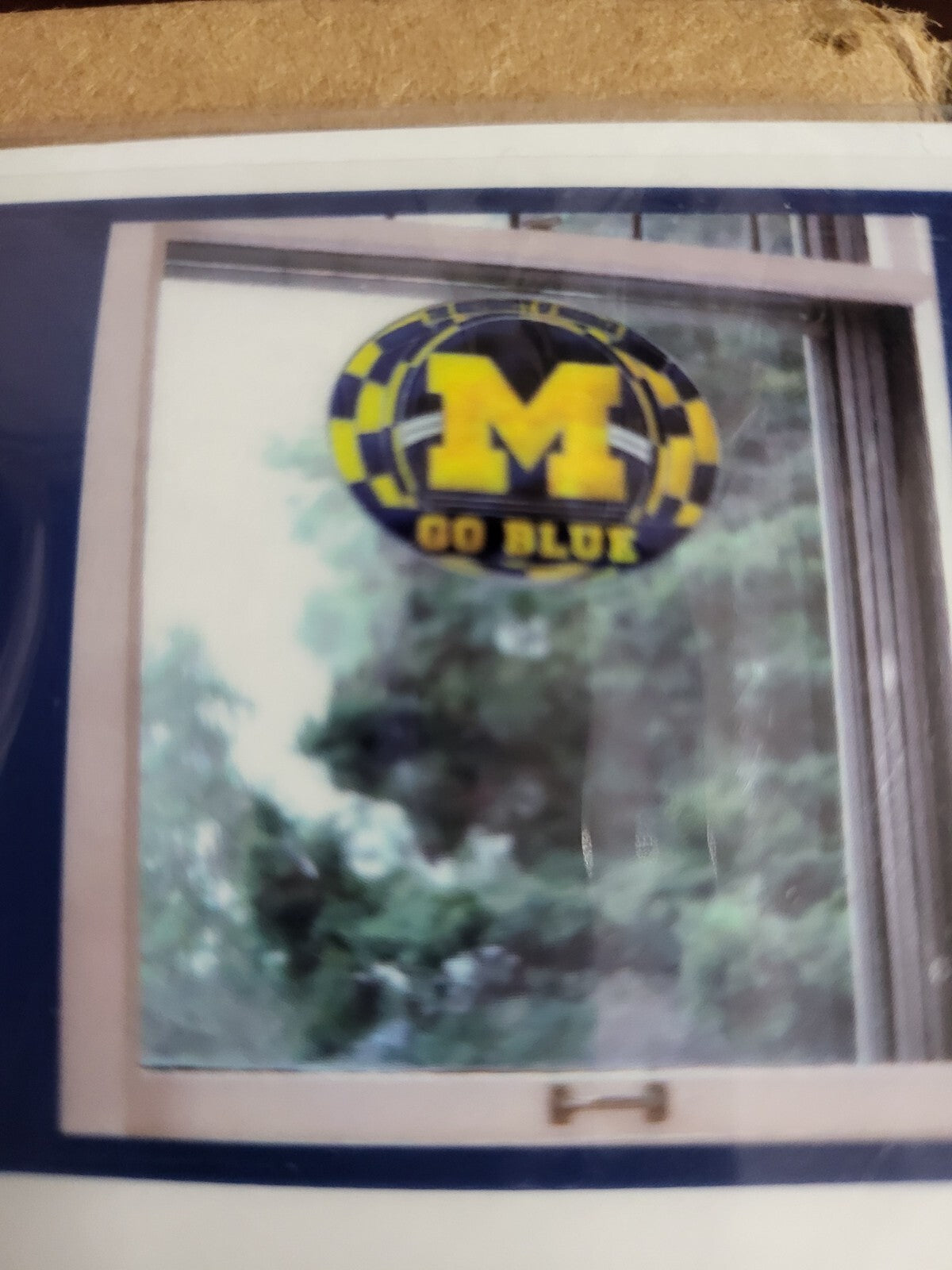 University of Michigan Stained Glass Decal 15 x 10.5" Removable Reusable All Sur