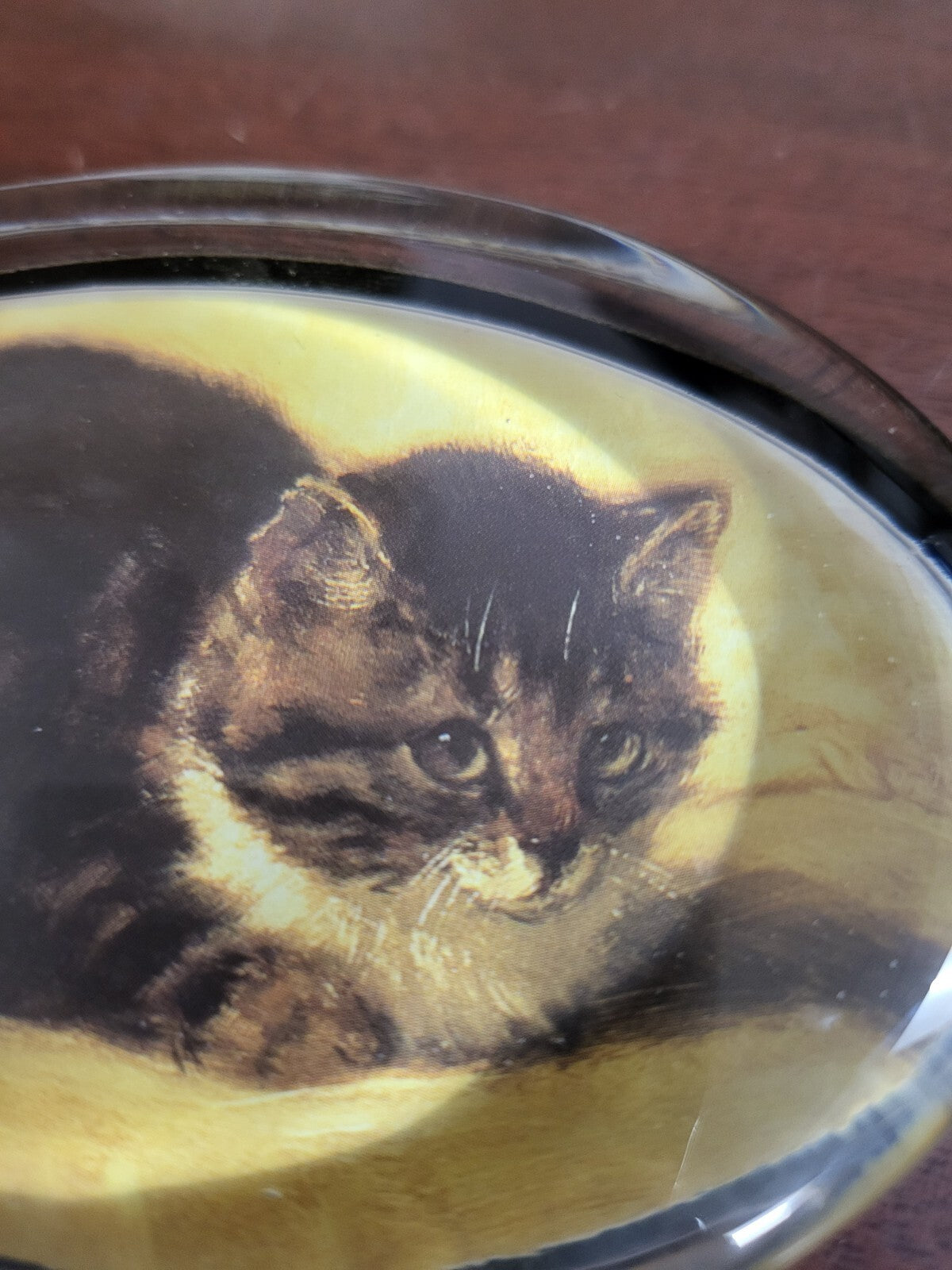 Vintage Glass Paperweight Cat Photo in 4 x 2.75 x 3/4" Oval Black Velvet Bottom