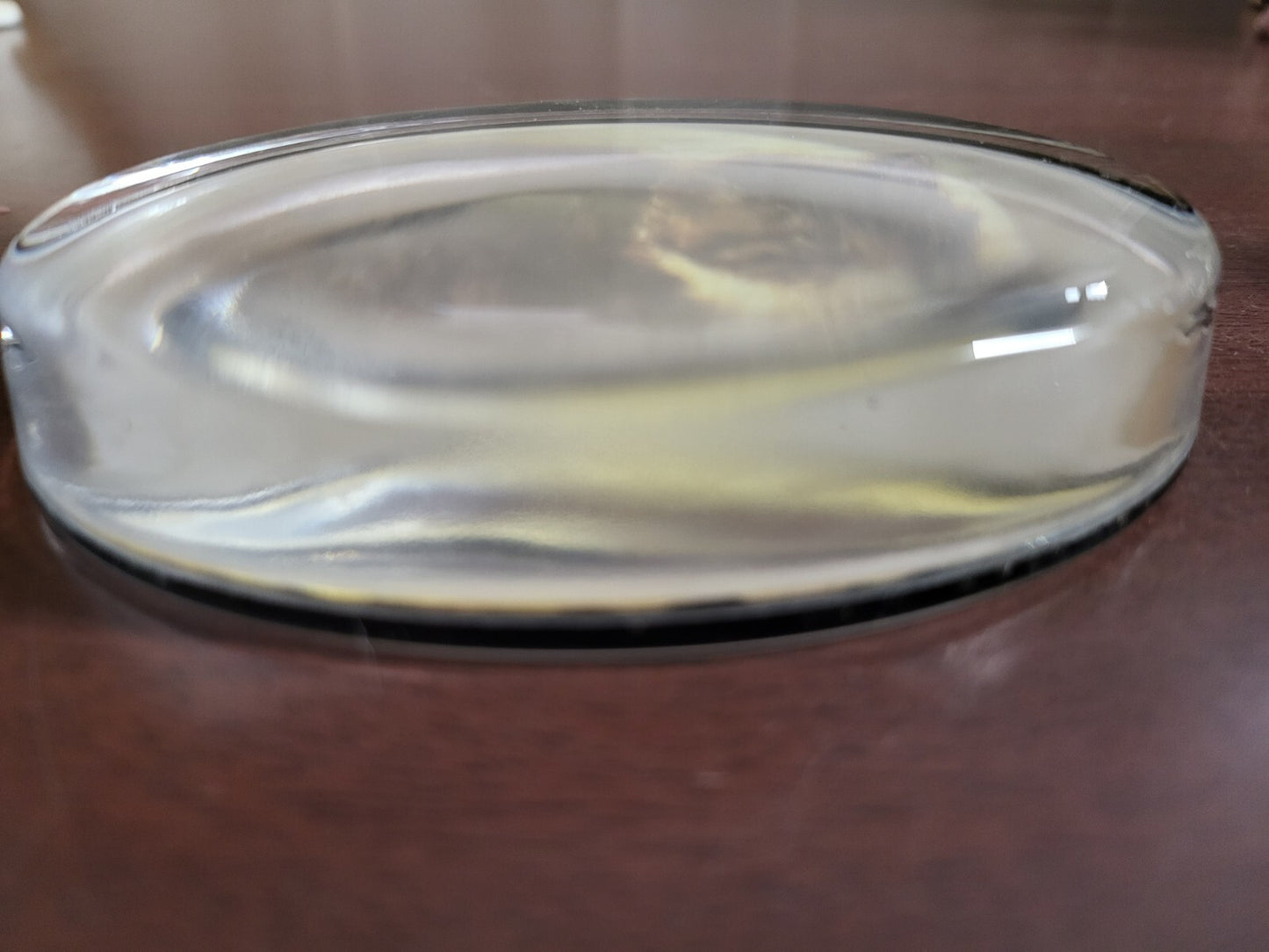 Vintage Glass Paperweight Cat Photo in 4 x 2.75 x 3/4" Oval Black Velvet Bottom