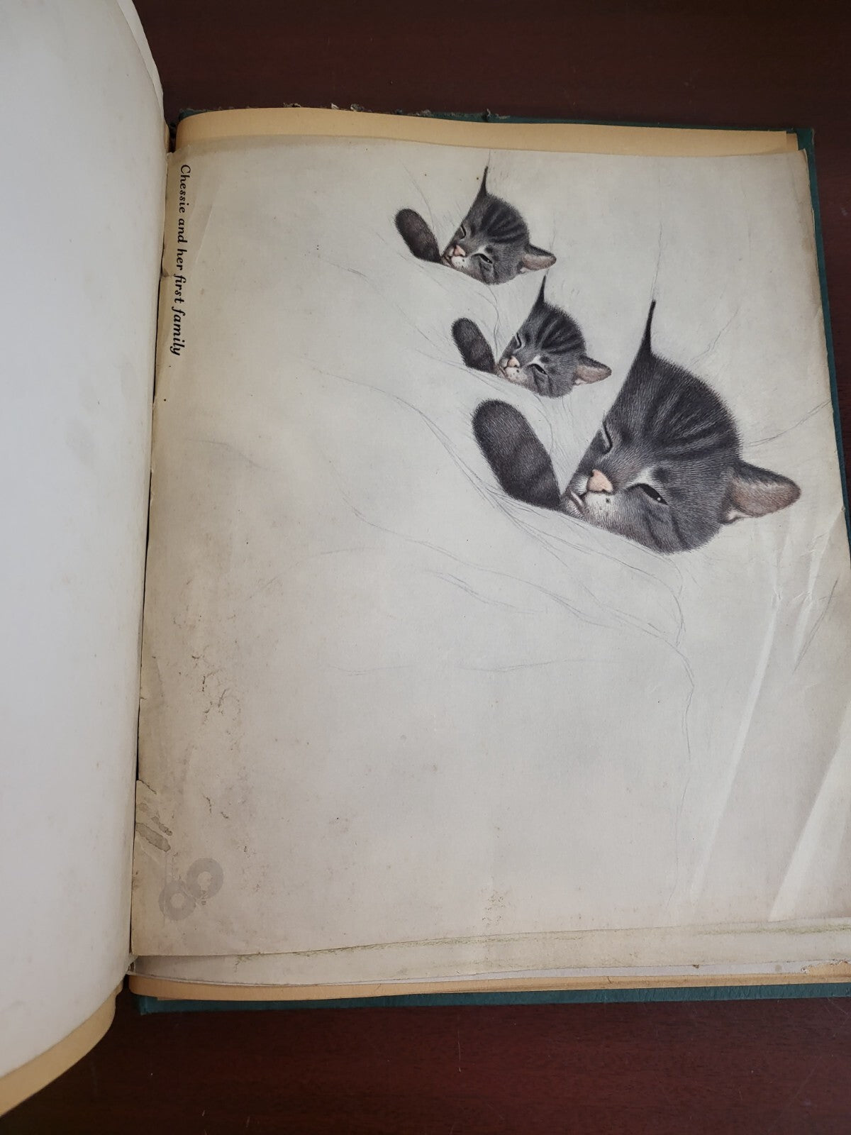 Vintage Scrapbook 1930s era Cats Subject incl Lemuel Thomas Prints #2809