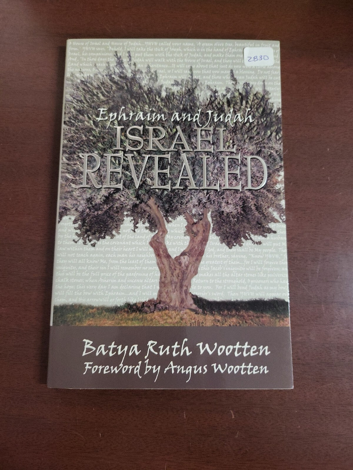 Book - Ephraim and Judah ISRAEL Rervealed by Batya Ruth Wootten #2830