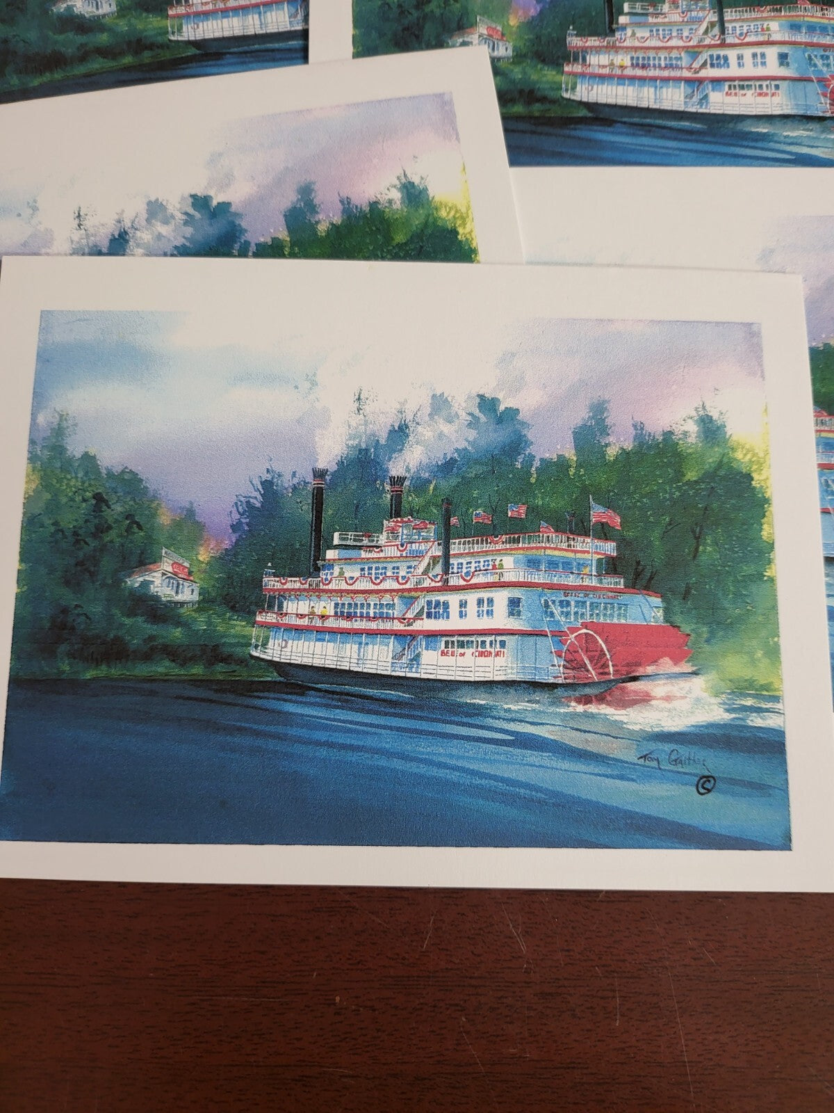Greeting Cards + Envelopes 6 ct Watercolor Images NWT Tom Gaither
