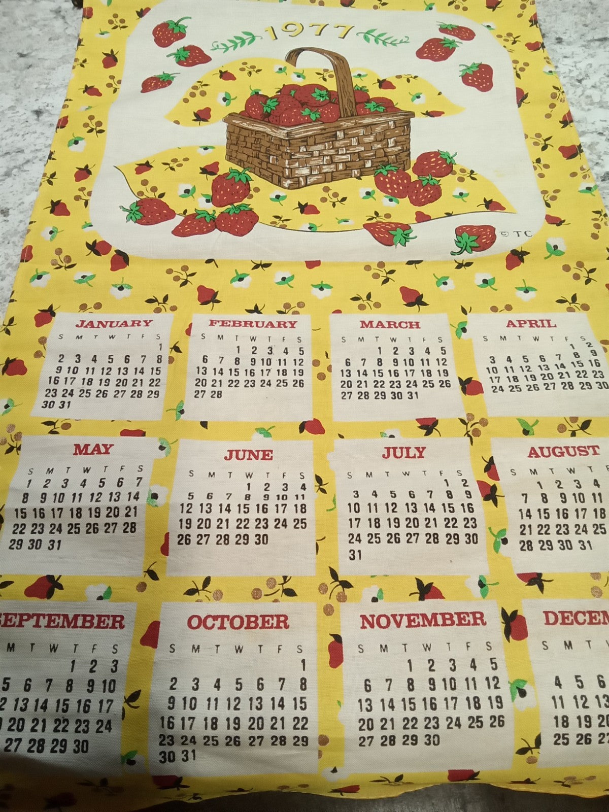 1977 Strawberry Designed Roll Up Wall Calendar