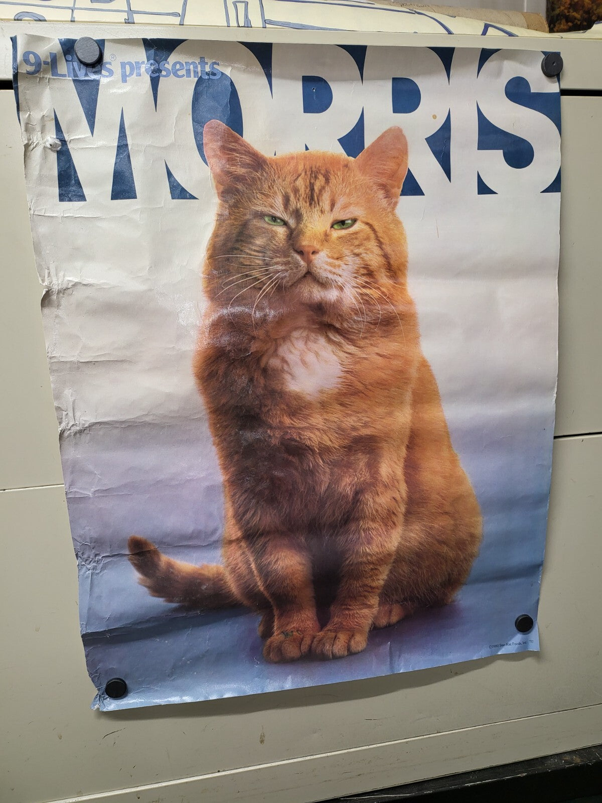 Vintage Poster 1980 9-Lives Present Morris The Cat 17 x 22" Starkist