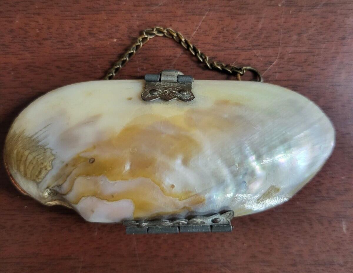 Vintage Abalone Shell Mini Purse Hinged Shells & Chain #193 3.25"w