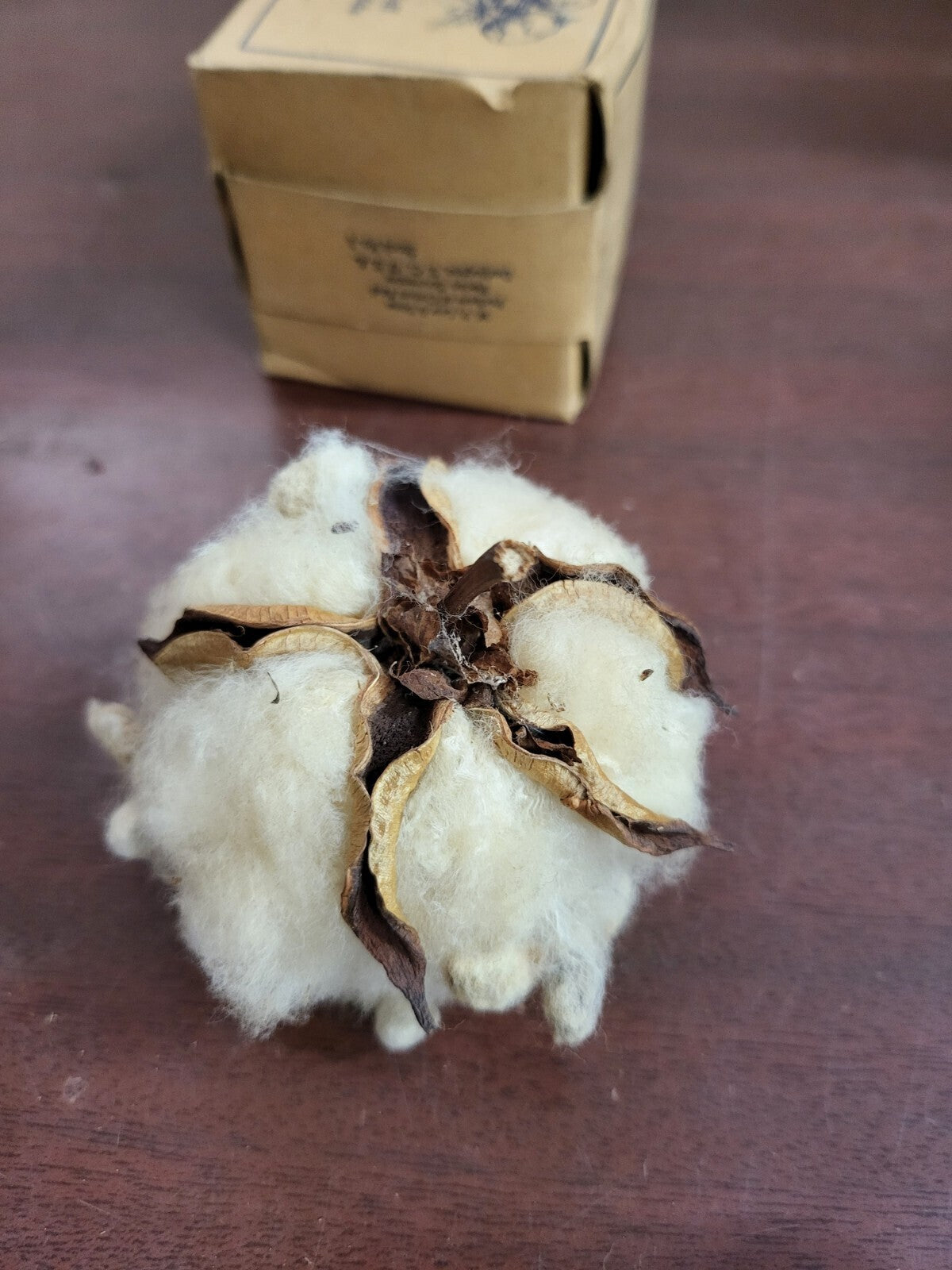 A Cotton Boll From The Fields of Snowy White Cotton & Pecan Souveniers SC #4317