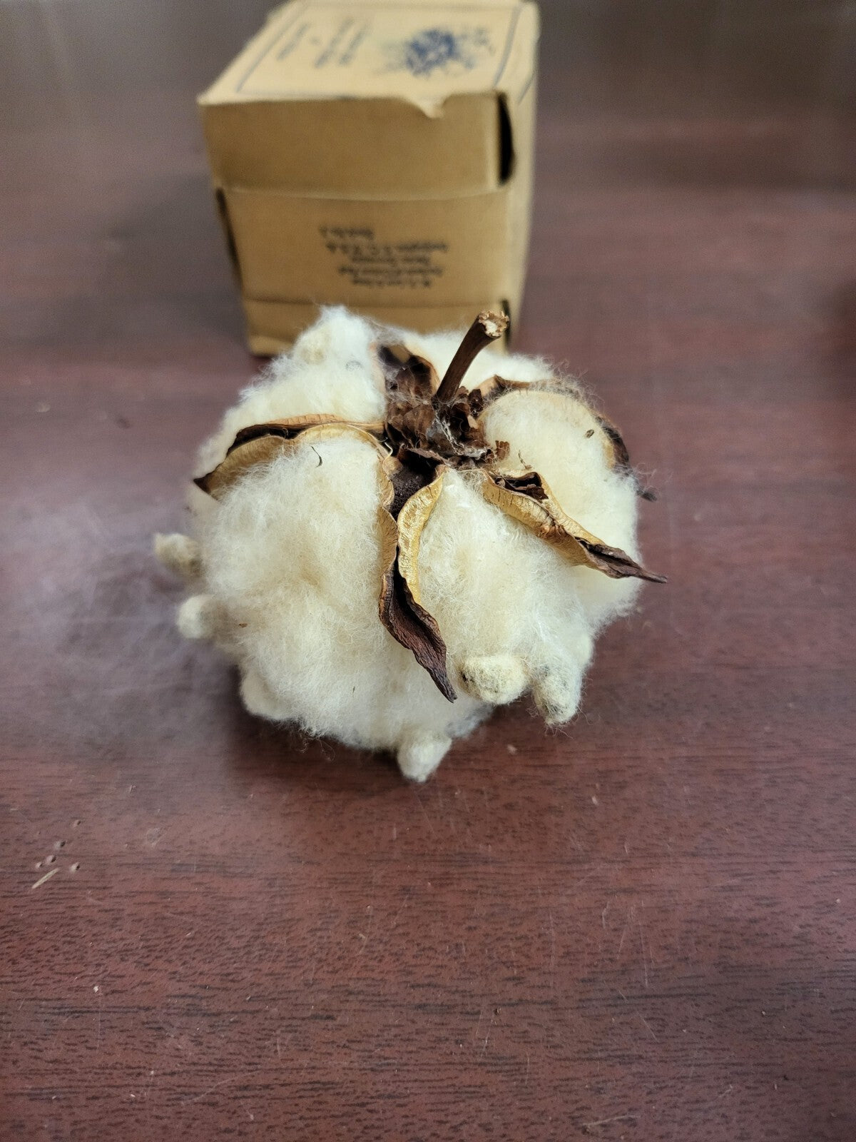 A Cotton Boll From The Fields of Snowy White Cotton & Pecan Souveniers SC #4317