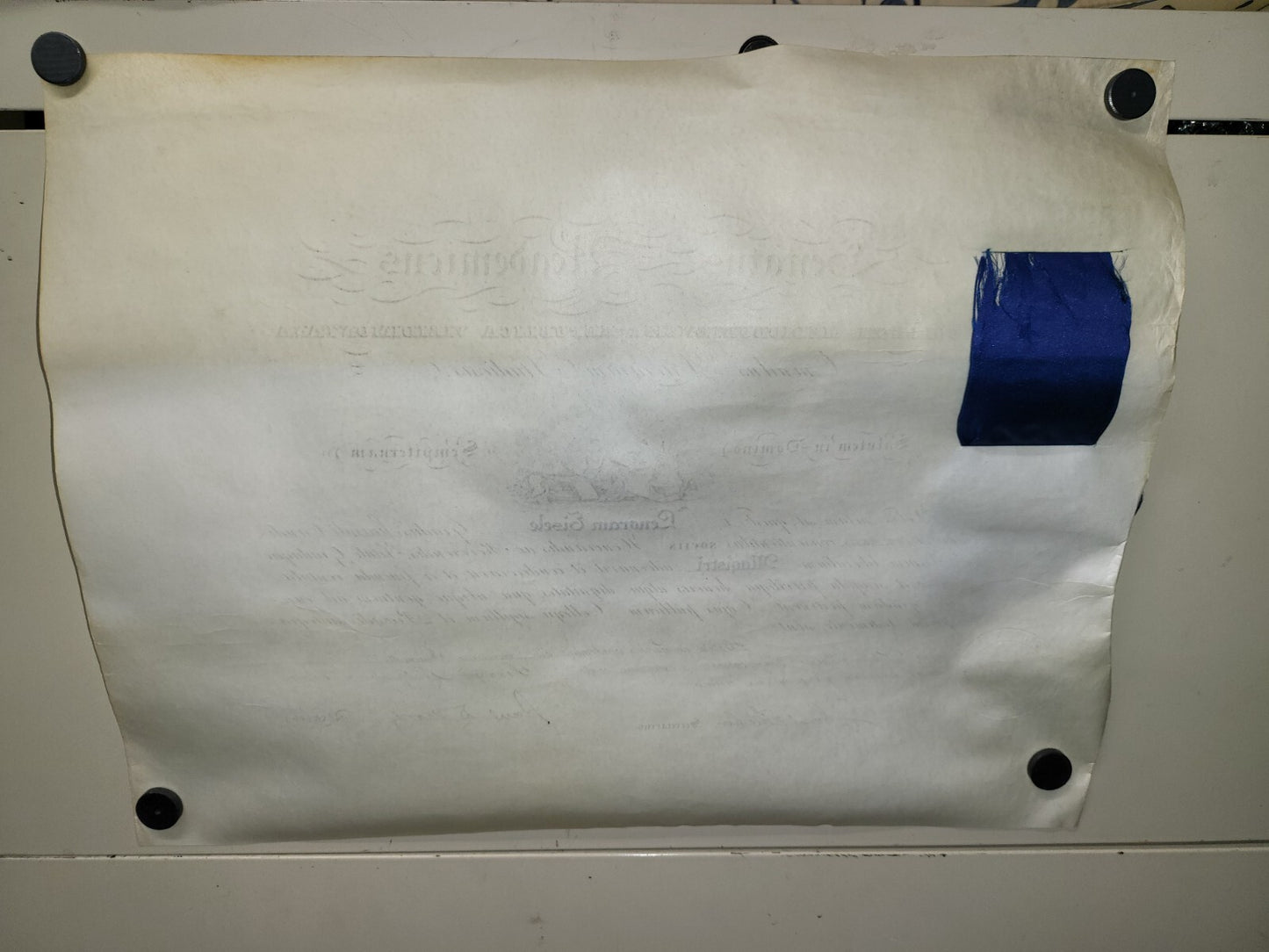 5 Antique Documents Lenora Eisele PA OH 1918 - 20 BOE US Treasury More
