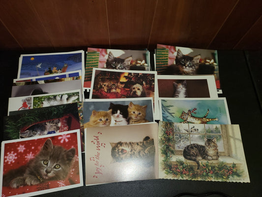 80 Cat Photos Greeting Card order forms Heavy Paper 7.25 x 5" ea Cute & Useful