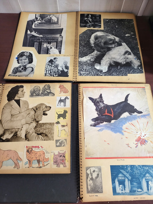 3 Vintage Scrapbooks 1937-38 Dogs  Pics & Famous Celebrity #2808
