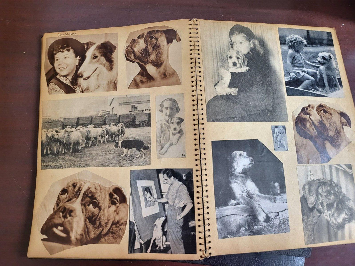 3 Vintage Scrapbooks 1937-38 Dogs  Pics & Famous Celebrity #2808