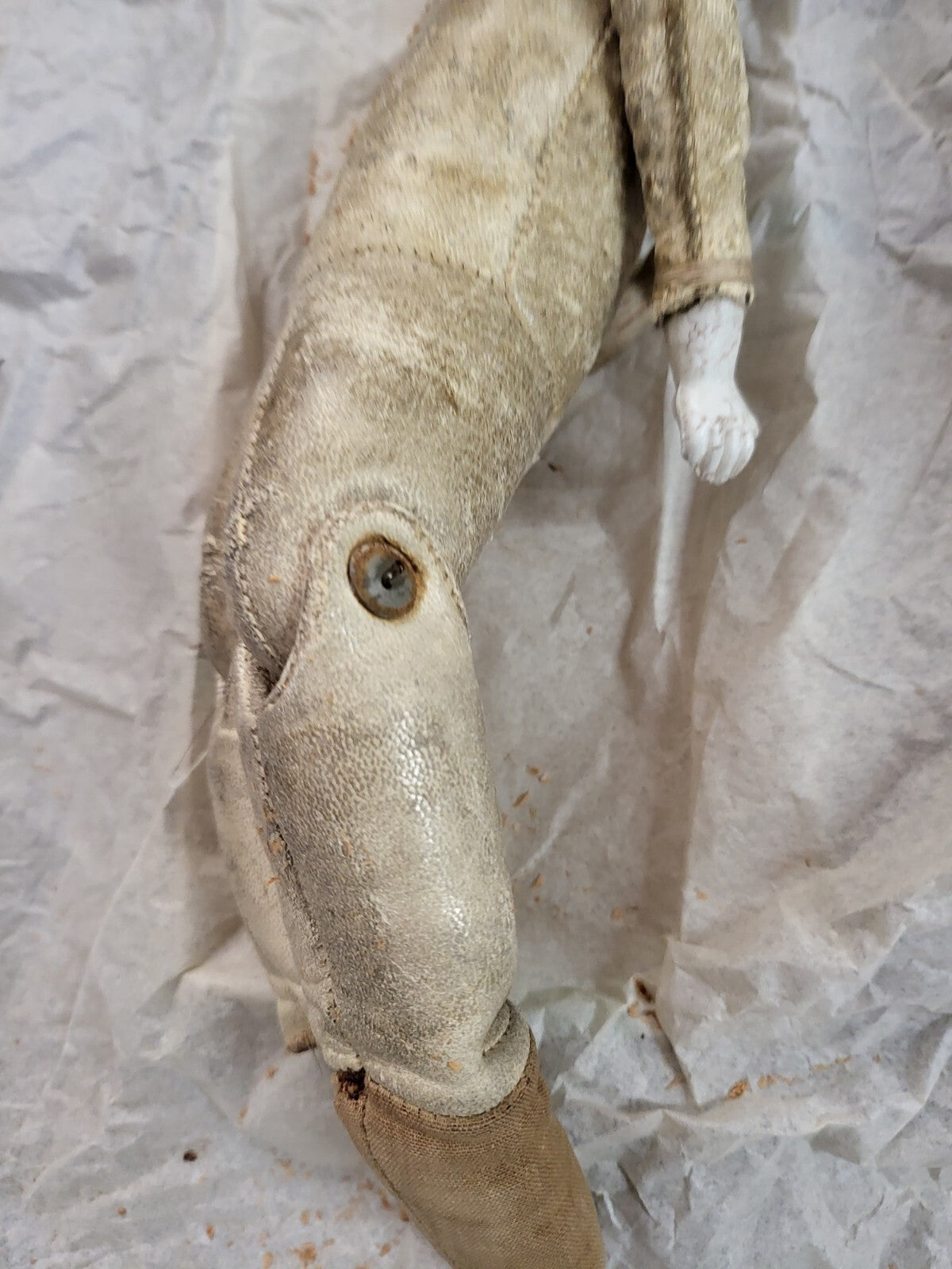 Antique German Parian Doll Blue Eyes, Needs Love ~13"H Porcelain Head Leather
