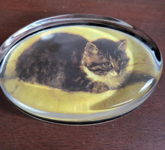 Vintage Glass Paperweight Cat Photo in 4 x 2.75 x 3/4" Oval Black Velvet Bottom