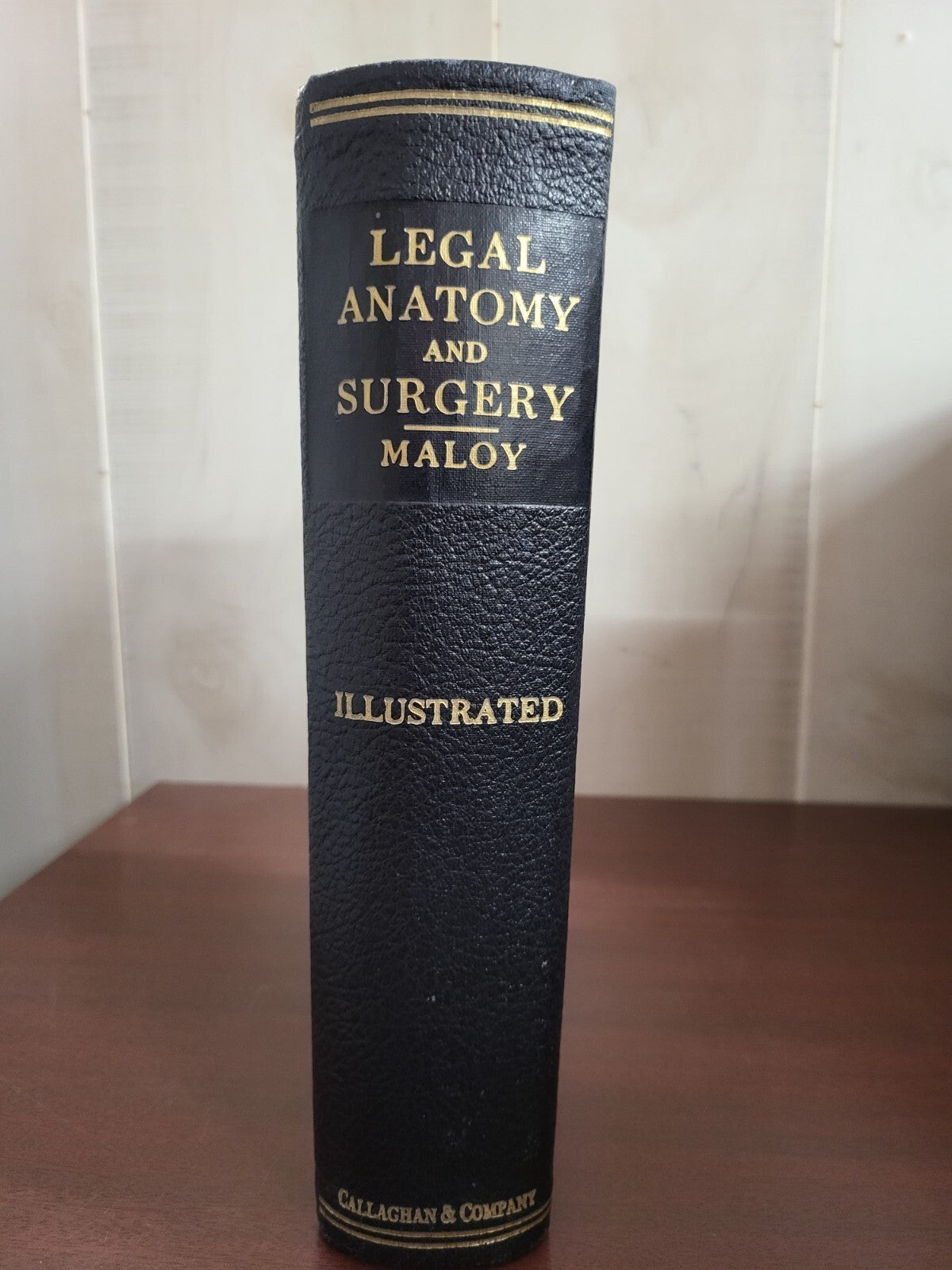 Book - Legal Anatomy And Surgery Illustrated by Maloy  1930  Callaghan #2904