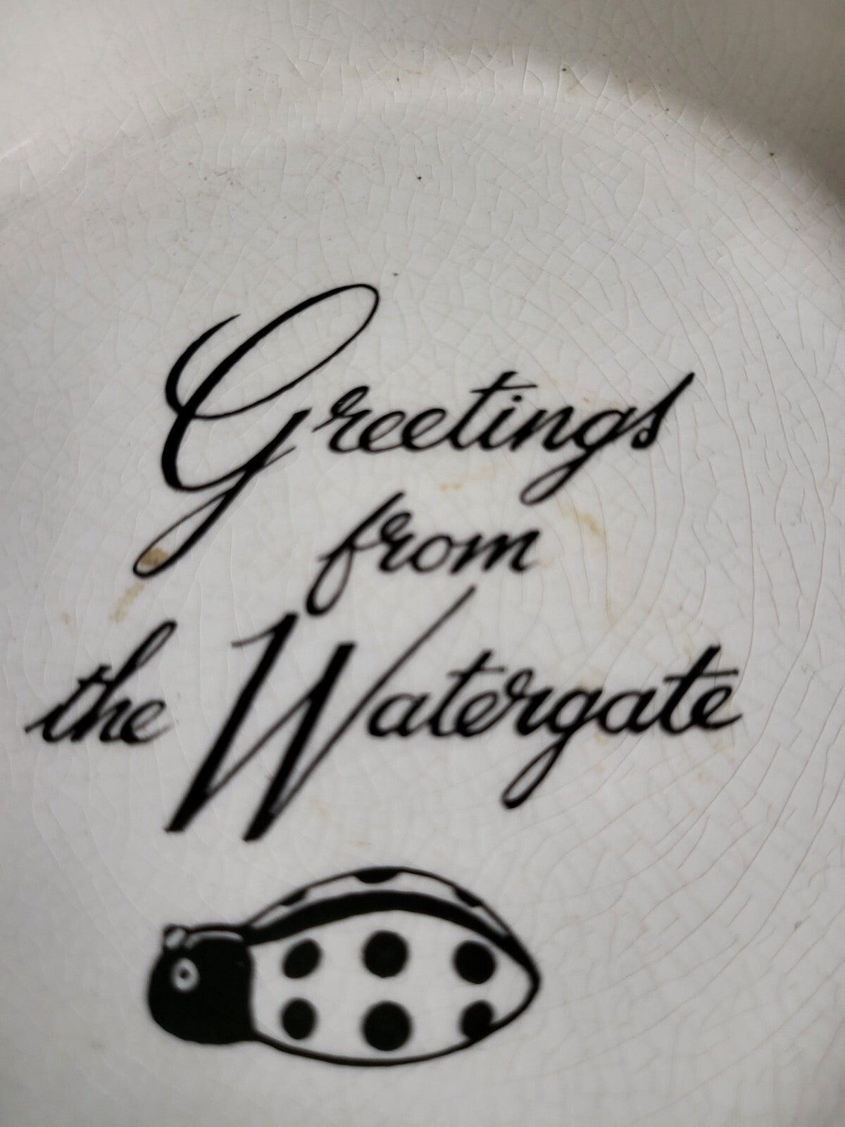 Vintage Prince William Pottery Greetings from the Watergate Collector Plate 5.5"