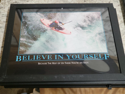DeMotivational Poster BELIEVE IN YOURSELF 11 x 14" FRAMED Funny Novelty Insults