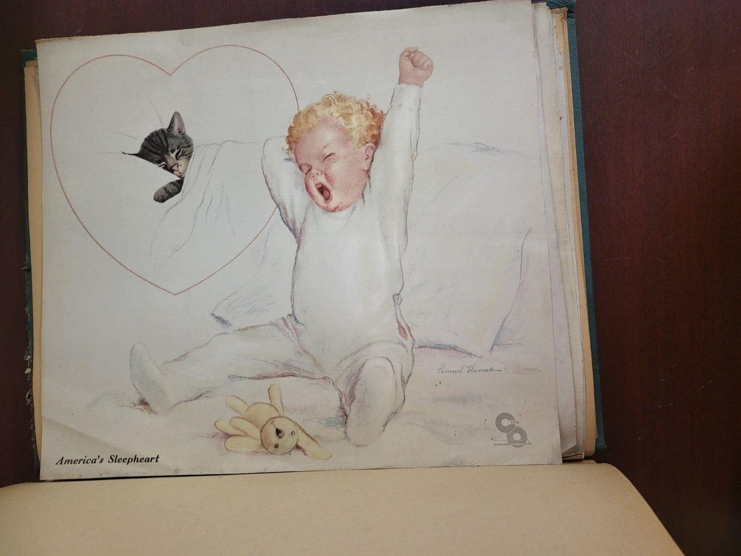 Vintage Scrapbook 1930s era Cats Subject incl Lemuel Thomas Prints #2809