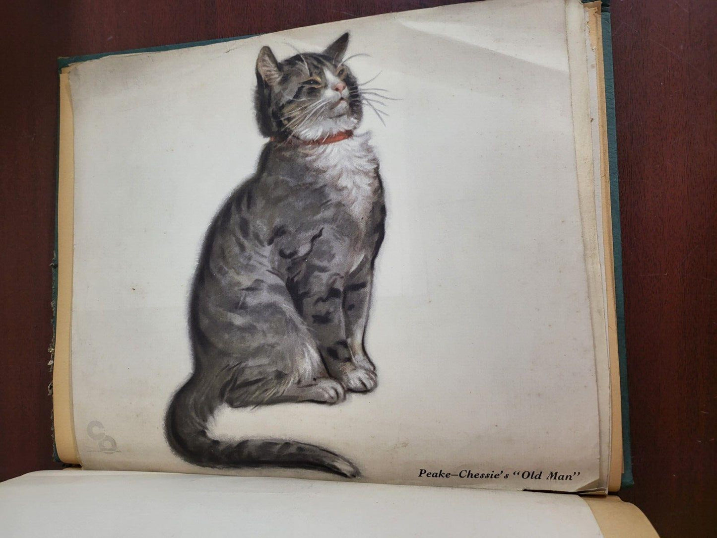 Vintage Scrapbook 1930s era Cats Subject incl Lemuel Thomas Prints #2809