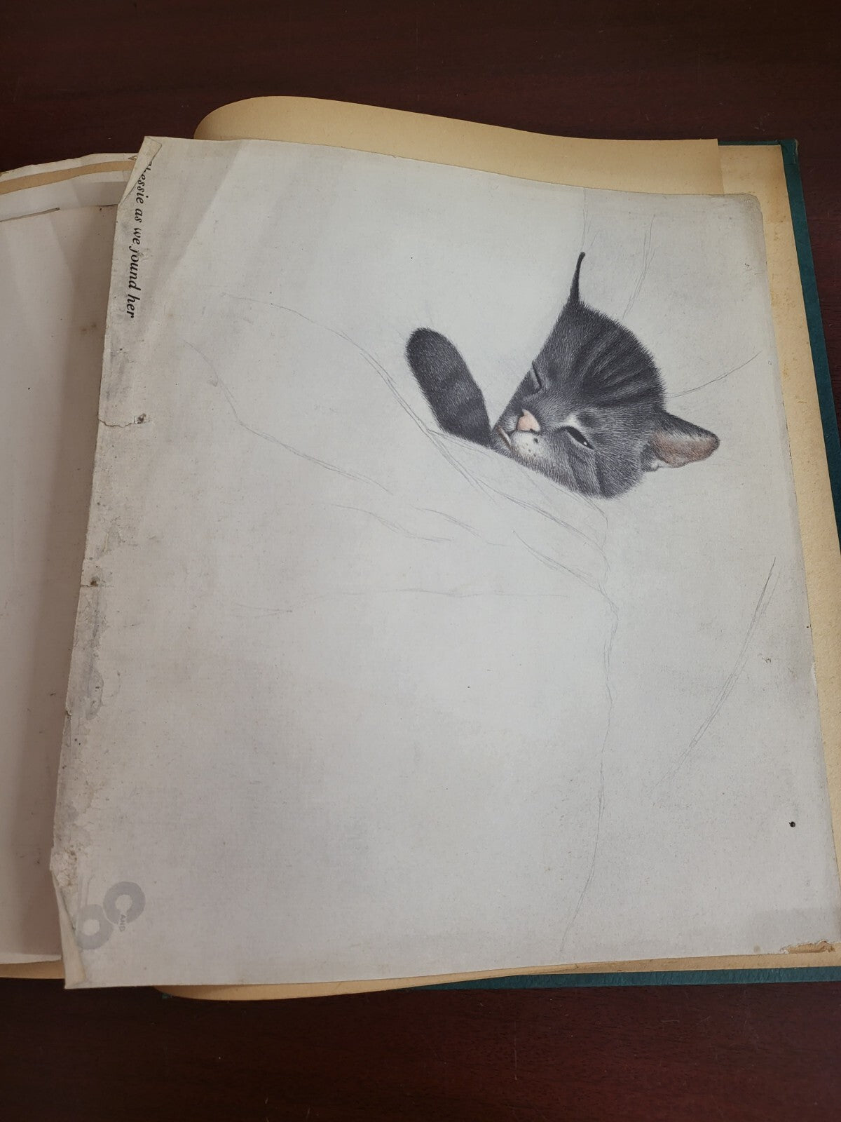 Vintage Scrapbook 1930s era Cats Subject incl Lemuel Thomas Prints #2809