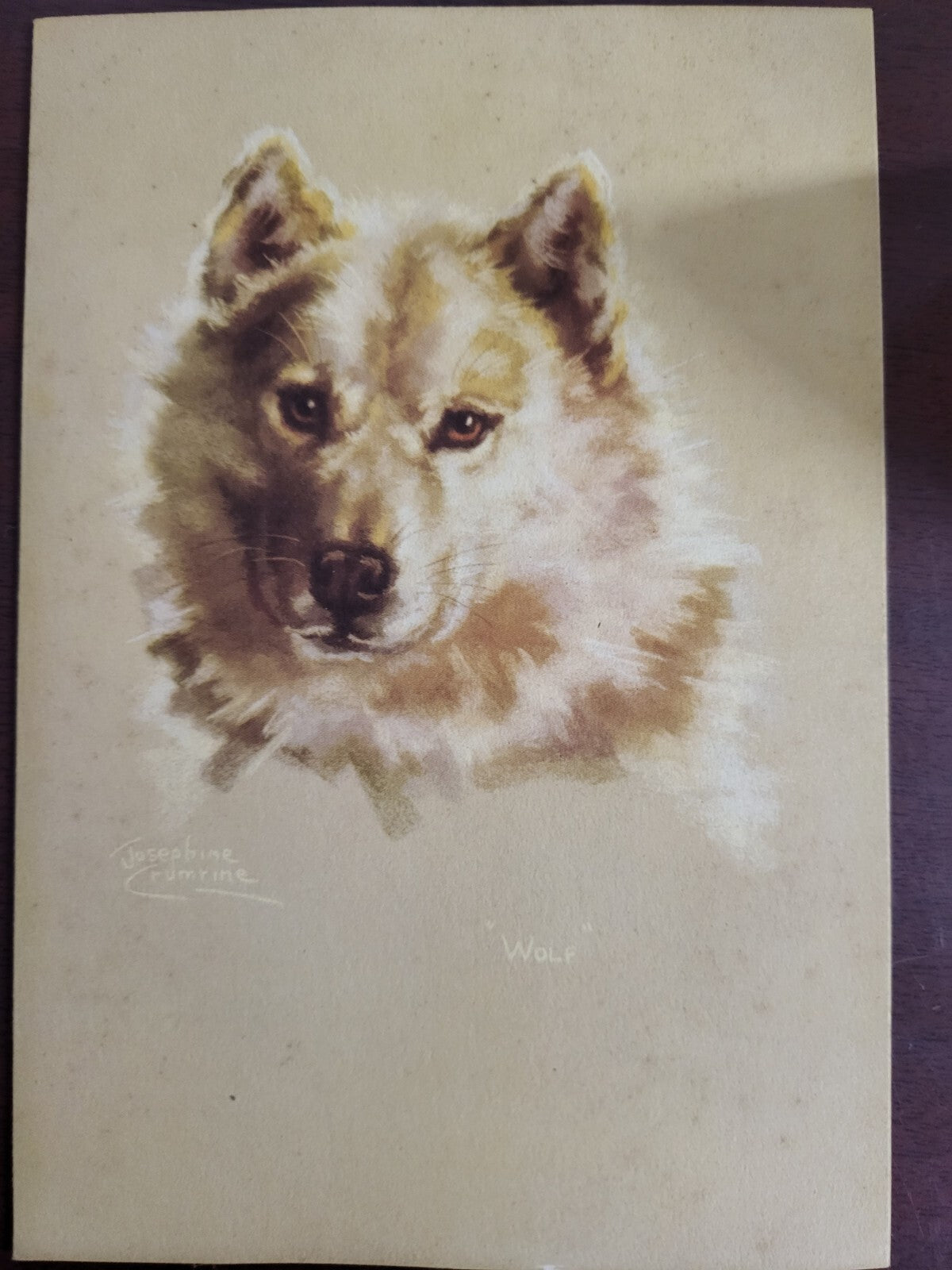 1940s Josephine Crumrine Lithography WOLF Alaska Steamship Co Menu 5.5 x 8"