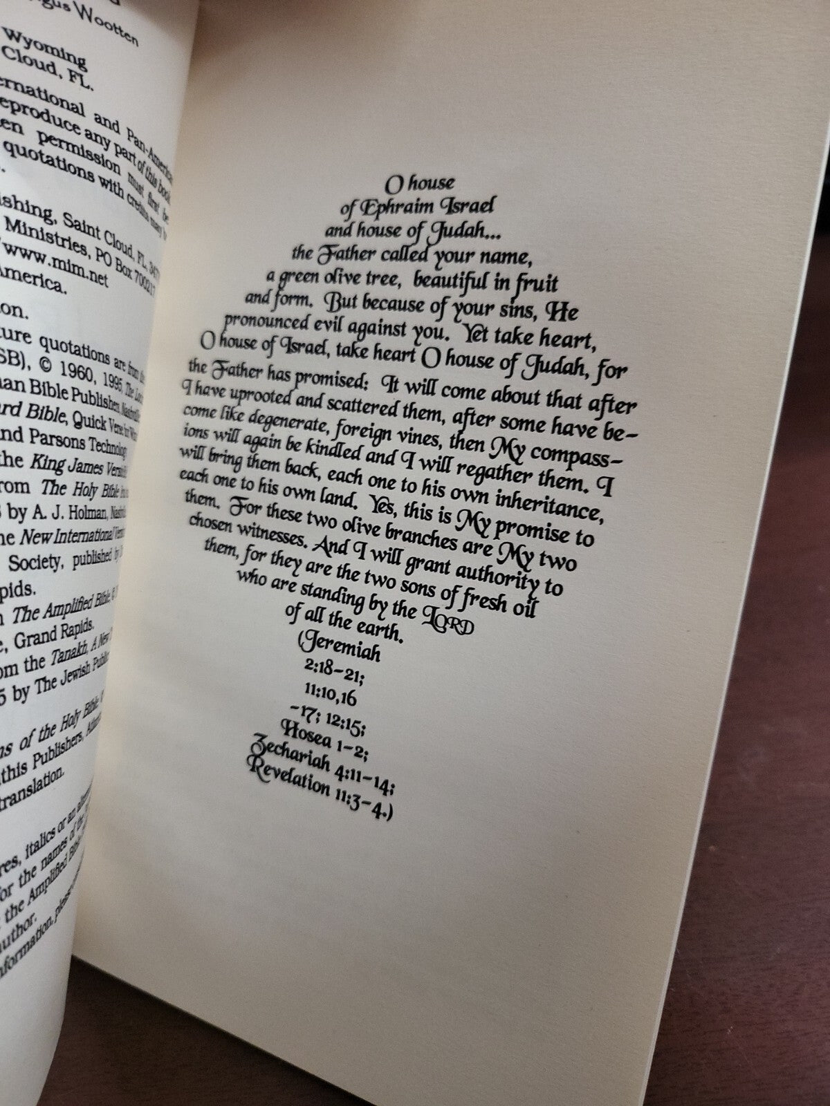 Book -  Ephraim and Judah ISRAEL Rervealed by Batya Ruth Wootten #2830