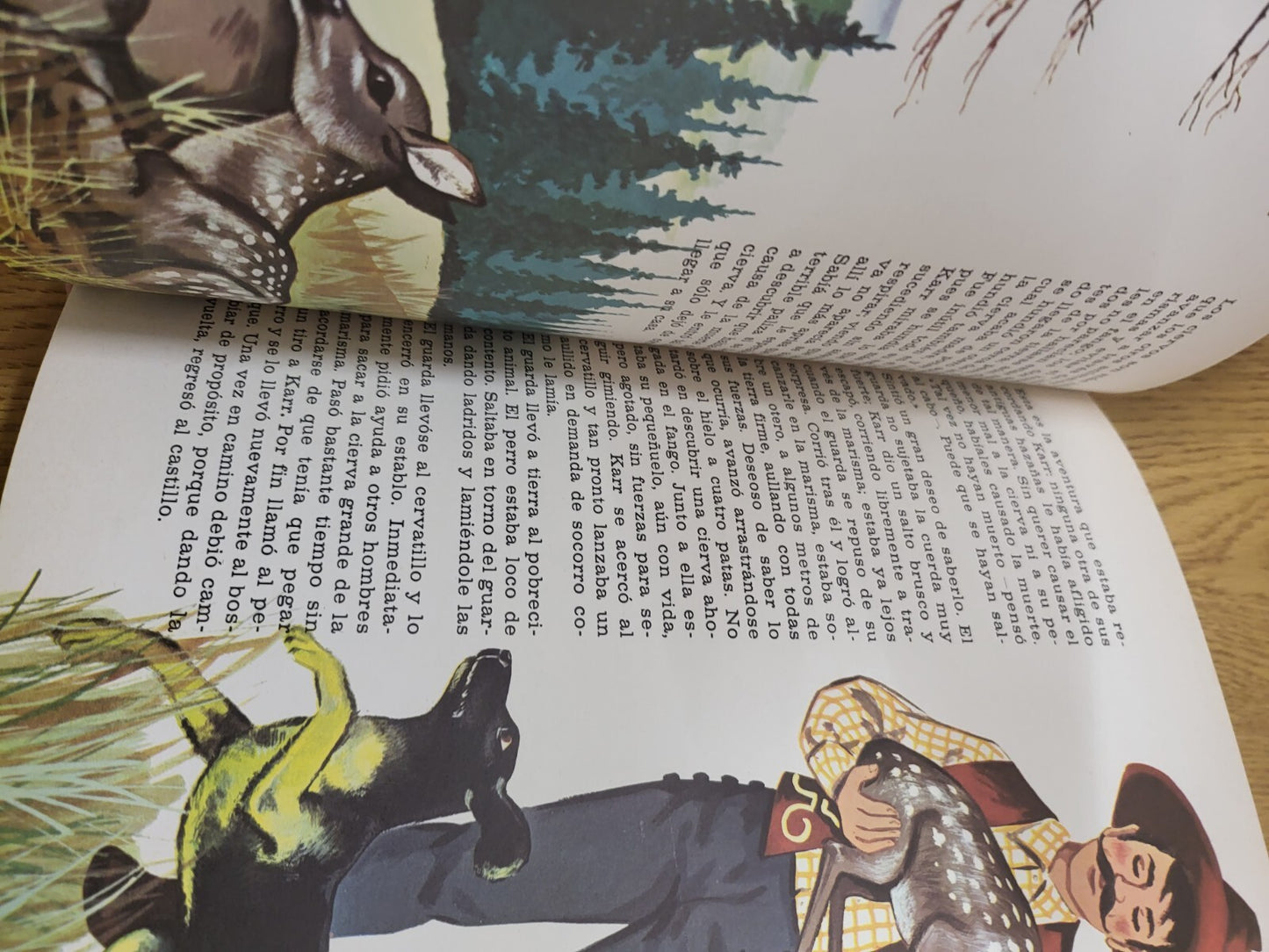 Book - Karr Y El Ciervo Gris   Karr And The Gray Stag   Spanish	Selma Lage #2763