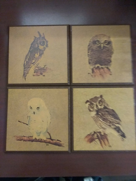 4 Vintage Richard Hinger Owl Art Prints on Wood each ~8.5" Square  Wall Decor