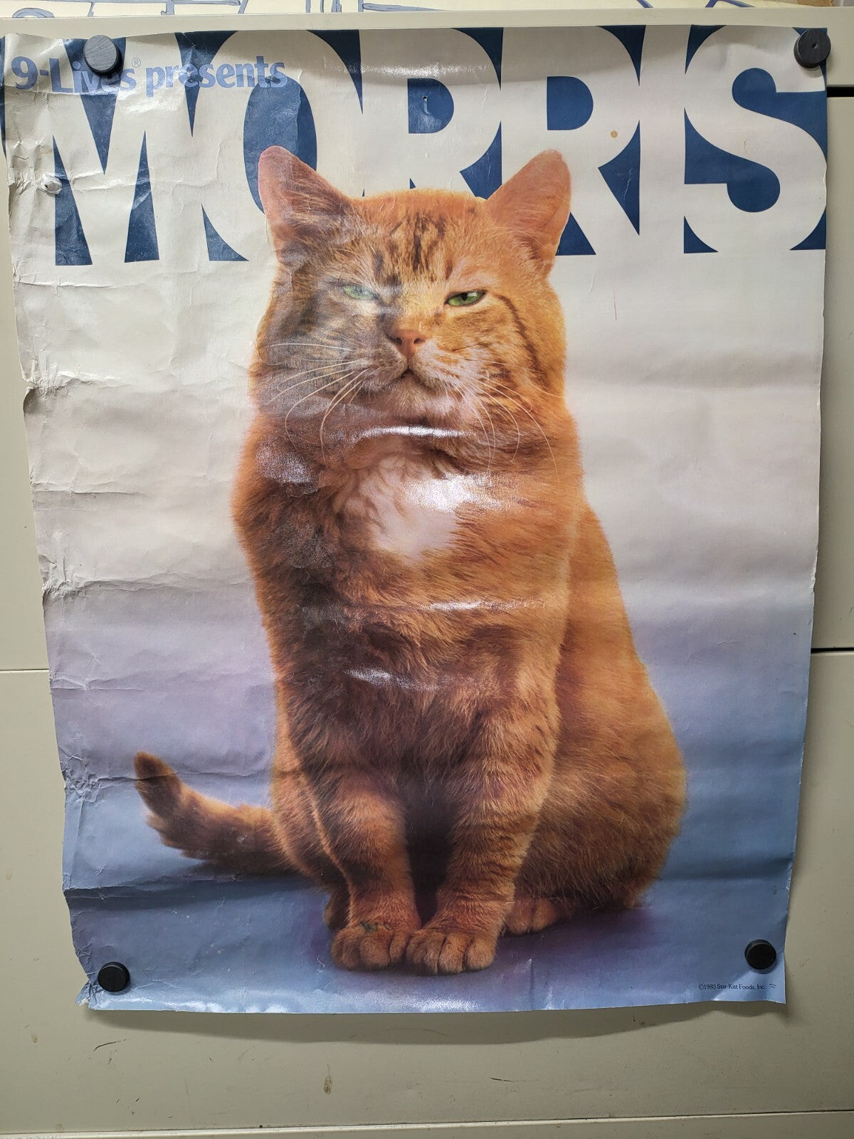 Vintage Poster 1980  9-Lives Present Morris The Cat  17 x 22" Starkist
