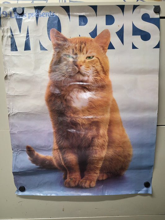 Vintage Poster 1980  9-Lives Present Morris The Cat  17 x 22" Starkist
