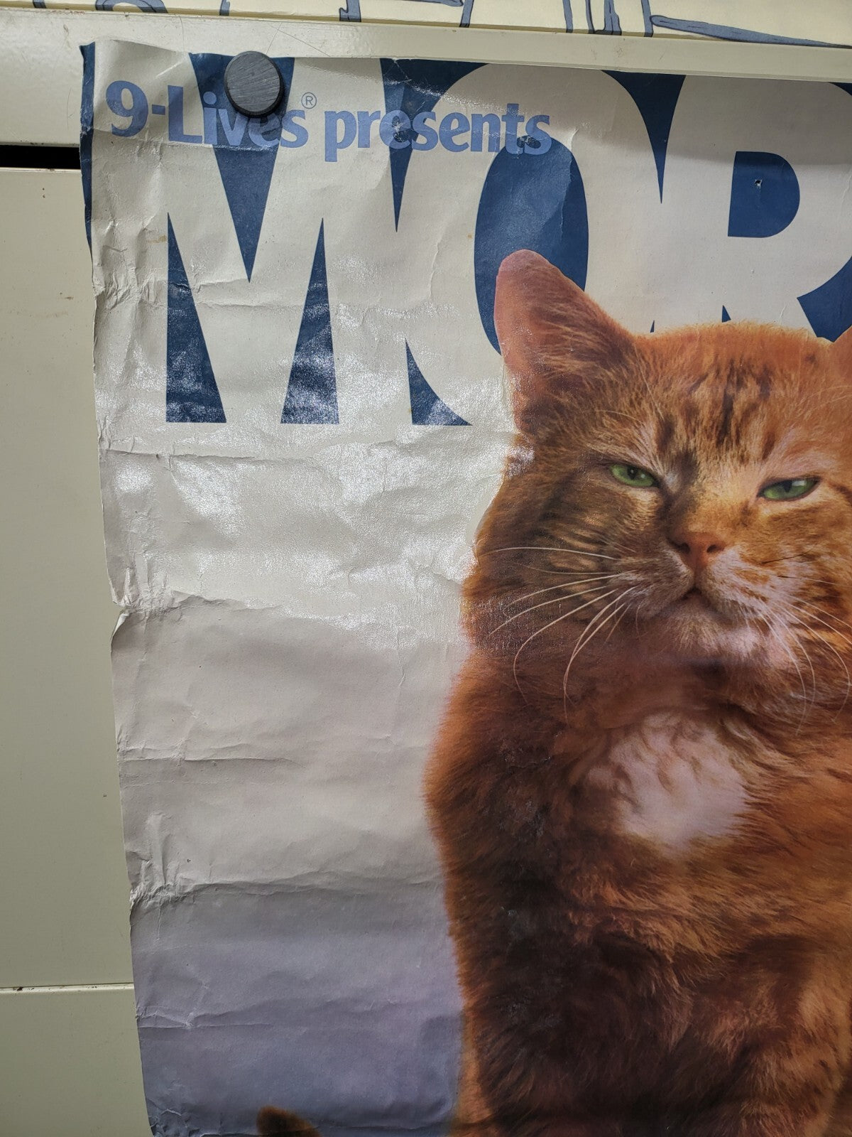 Vintage Poster 1980  9-Lives Present Morris The Cat  17 x 22" Starkist