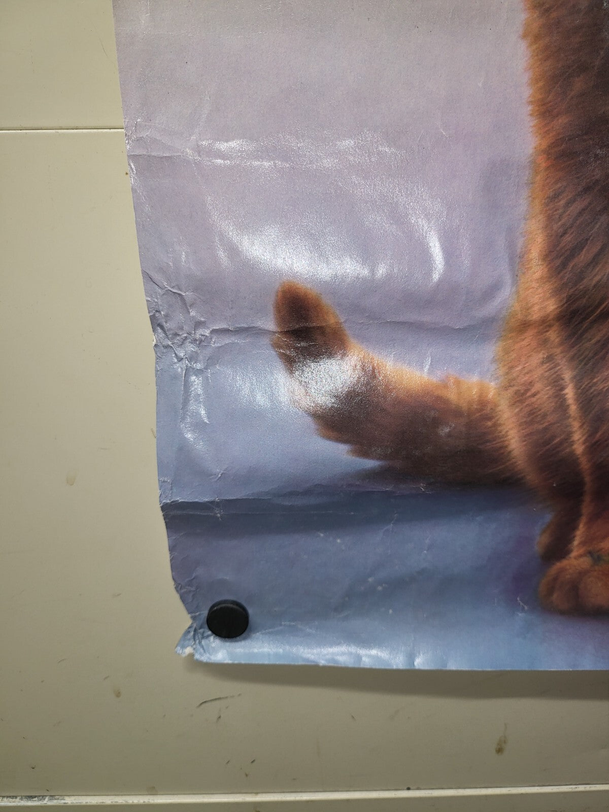 Vintage Poster 1980  9-Lives Present Morris The Cat  17 x 22" Starkist
