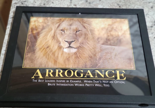 DeMotivational Poster ARROGANCE 11 x 14" FRAMED Funny Business Insults Arrogance