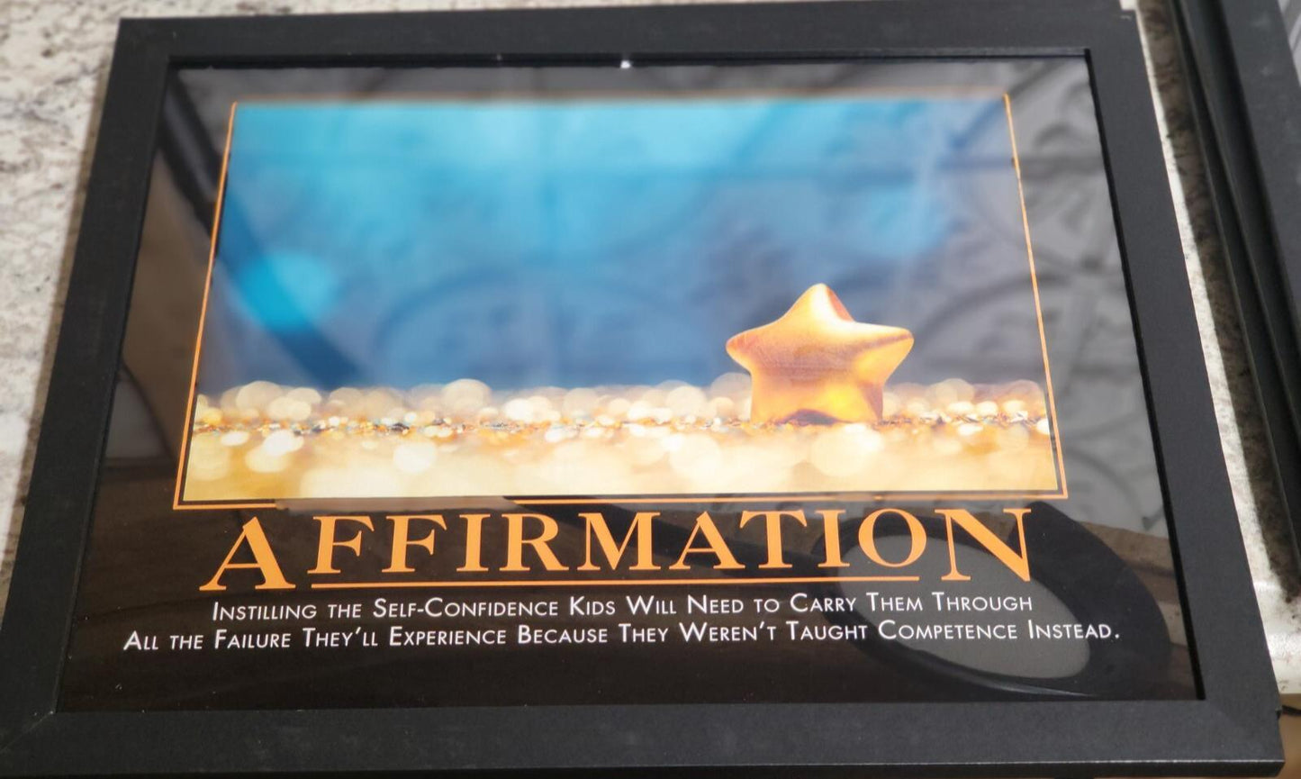 DeMotivational Poster AFFIRMATION 11 x 14" FRAMED Funny Novelty  Affirmation