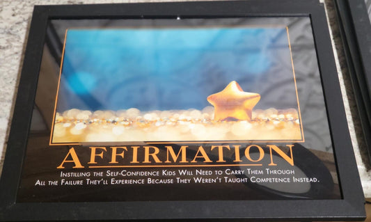 DeMotivational Poster AFFIRMATION 11 x 14" FRAMED Funny Novelty  Affirmation
