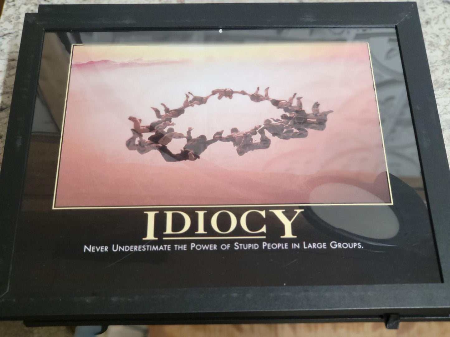 DeMotivational Poster IDIOCY  11 x 14" FRAMED Funny Novelty Insults Idiocy