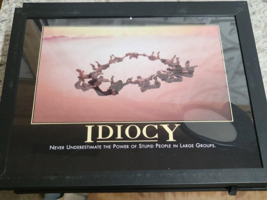 DeMotivational Poster IDIOCY  11 x 14" FRAMED Funny Novelty Insults Idiocy