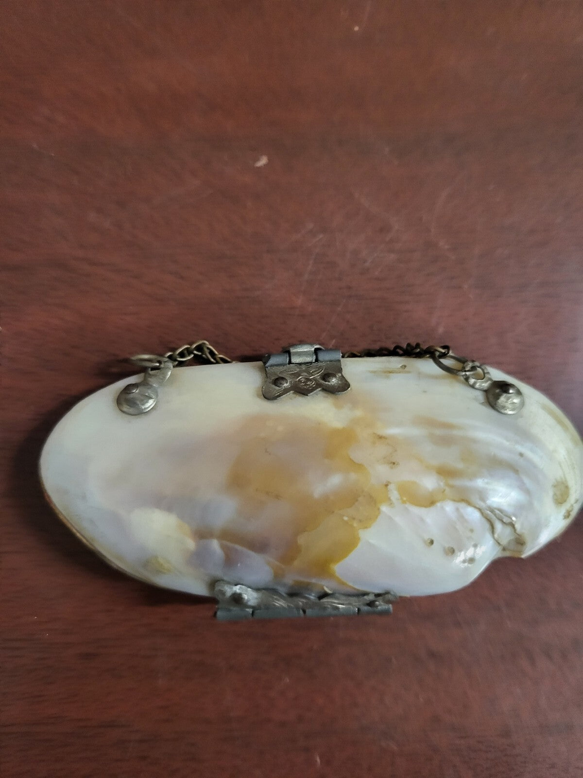 Vintage Abalone Shell Mini Purse Hinged Shells & Chain #193 3.25"w