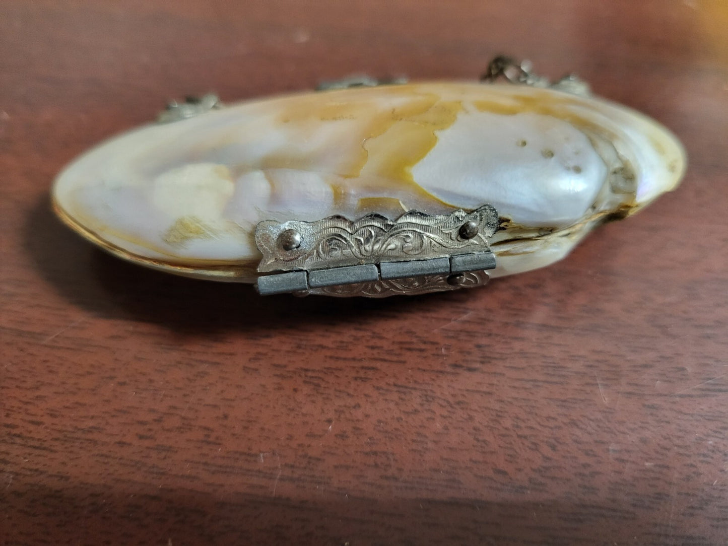 Vintage Abalone Shell Mini Purse Hinged Shells & Chain #193 3.25"w