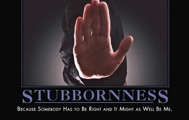 De - Motivation Poster 11 x 14"  STUBBORNNESS Black Frame  read More in Desc